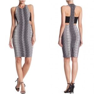 Elizabeth and James Ikat Phoenix cutout dress size 8